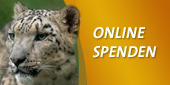 Online Spenden